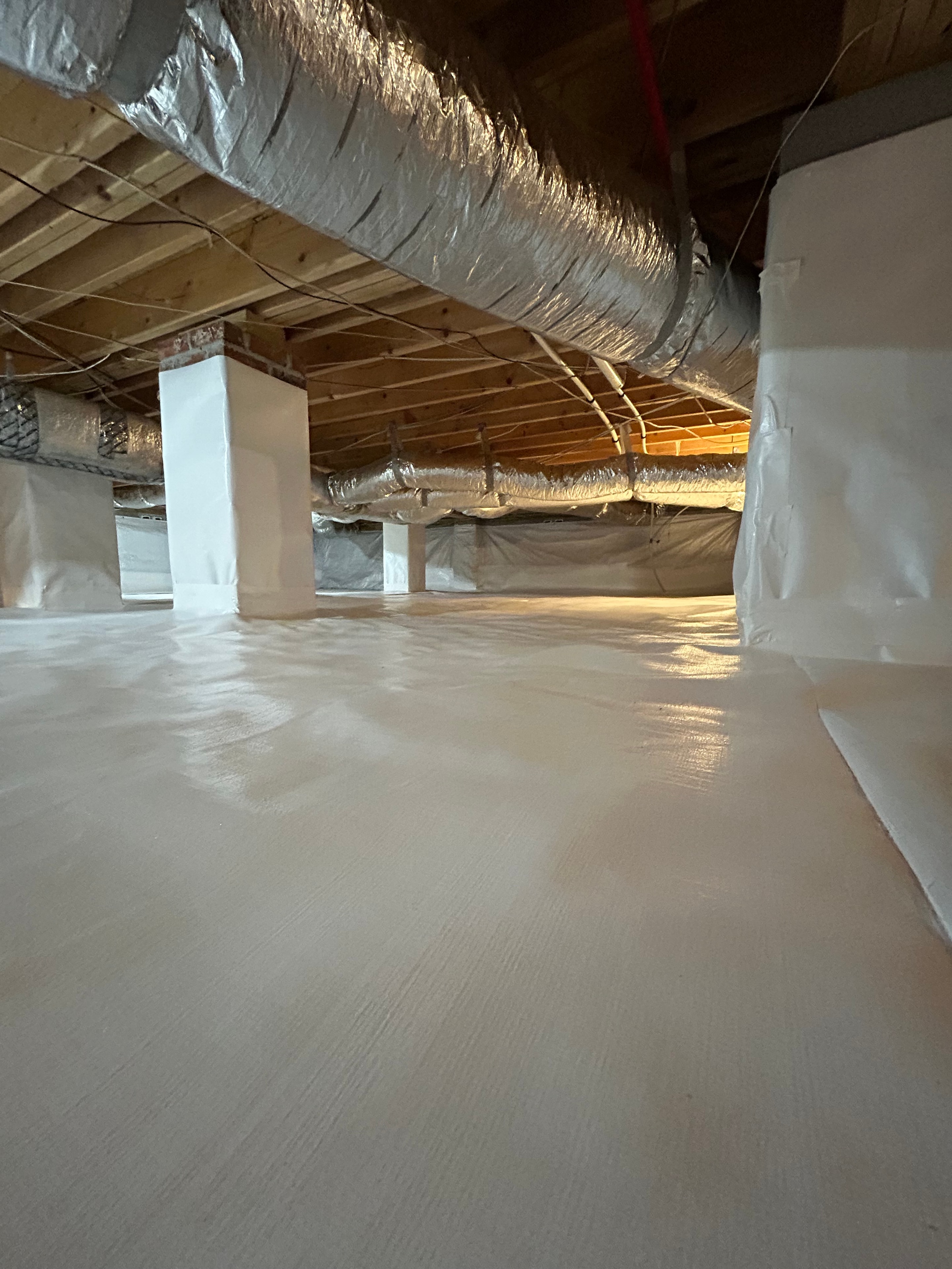 Crawl space insulation and structural elements